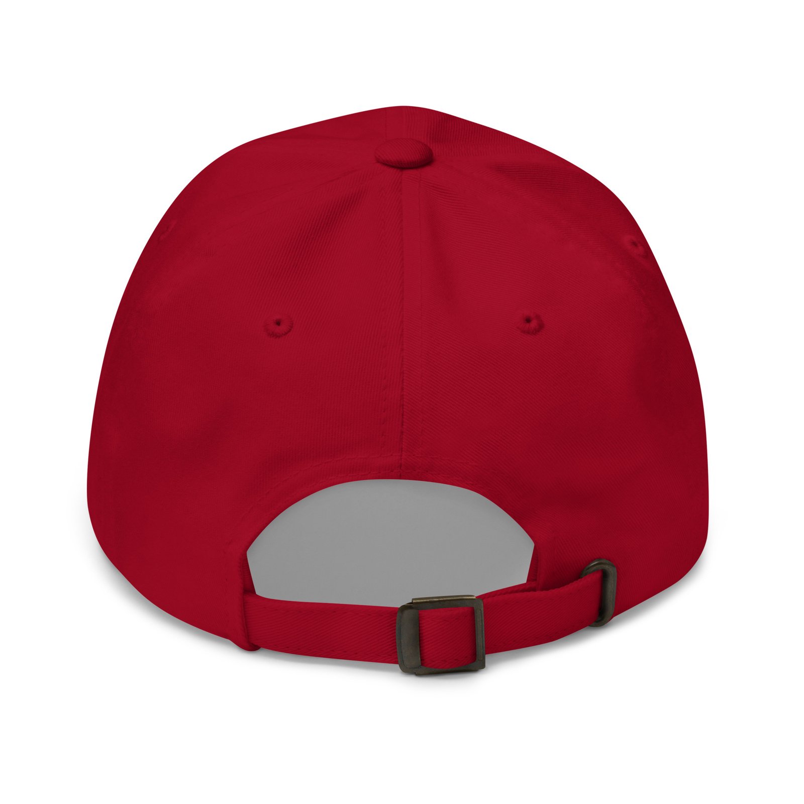 RecFlyer Classic Embroidered Cap - Image 8